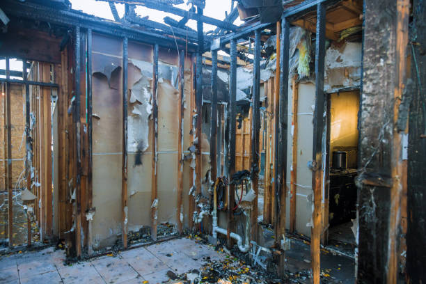 Professional Fire Damage Removal technician working in Wilkinson Heights, SC